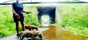 Gångtunnel i Åby full av vatten