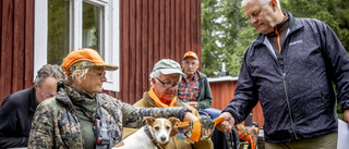 Den fria jakten på jägare och skyttar måste ta slut