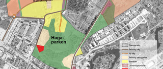 Så vill kommunen bygga i Hagaparken 