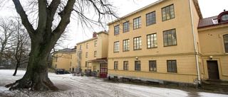 Anlägg park på Nicolaiskolans skolgård