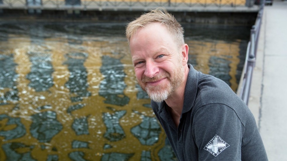 Niklas Cserhalmi, chef på Arbetets museum, ingår i den grupp av sakkunniga som ska bistå regeringen i utredningen "Återstart för kulturen".