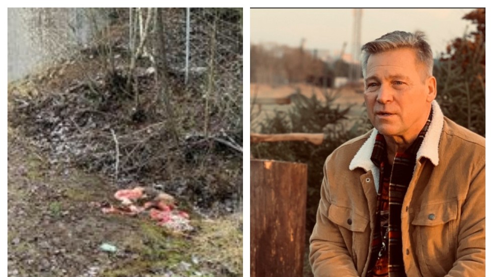 Slaktrester som hittades vid E4-viadukten 1 km norr om Måbyavfarten. Fredrik Lundgren är upprörd över tjuvjakten som även leder till fler skadskjutna djur.