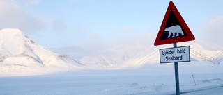 Isbjörn dödade man i tält på Svalbard