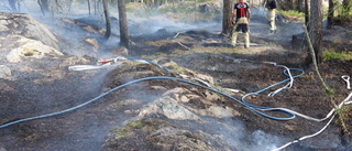 Brand i Vrinneviskogen spred sig snabbt