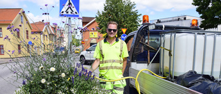 Kommunens blommor slukar 4650 liter vatten i veckan