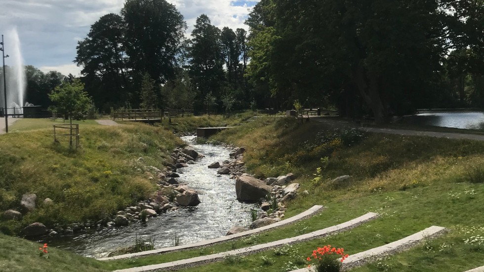 Grönytor är viktiga bland annat för att få ner temperaturen mellan husen, skriver insändarskribenten. 