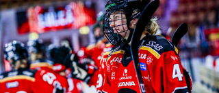 Stjärnorna tillbaka – då har Luleå Hockey/MSSK en finsk superkedja