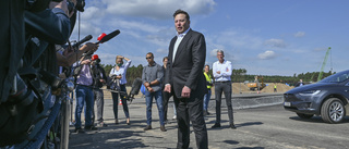 Förkyld Musk covid-testad: "Extremt skumt"