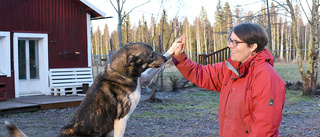 Emilies resa runt jorden ledde till Vitåfors