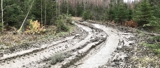 Naturreservatet Hedlandet förstörs