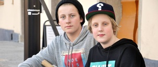 Theo och Neo samlar namn för skatepark