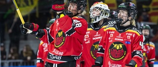 SM-guldet kan säkras – så ställer Luleå Hockey/MSSK upp i avgörande finalen • Brynäs stjärna tillbaka