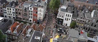 Studerade cykling i Utrecht