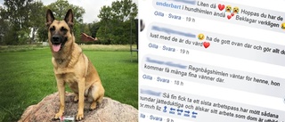 Polishunden Röja har somnat in