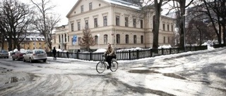 Kaffepengar räddade universitetet