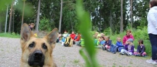 Examen i barnens gå vilse-kurs