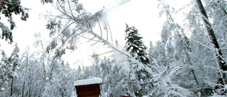 I elavbrottens spår