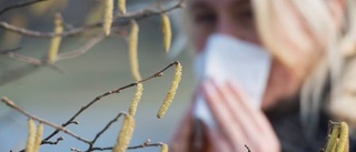 Pollen ett säkert vårtecken