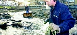 Föreningen Cityfiske tömde Hästskodammen på skrot