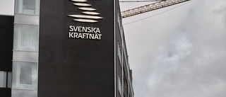 Svenska kraftnät anmäler sig själva