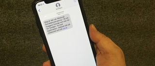 700 000 fick sms av Socialdemokraterna