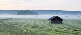 Dagens väderbild