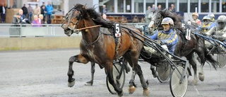 Storfavoriten segrade på Bodentravet