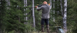 Länsborna i domstolen: Så kämpar de för att få tillbaka vapentillstånd Hustrun: ”Fin och klok”