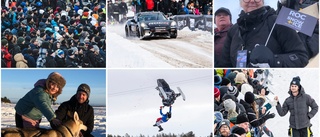 Följ allt från motorfesten på Havsbadet – mingel med publiken och stjärnornas kamp om pokalerna