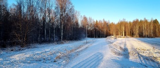 Läsarbilden: Solsken och skuggor i Hortlax