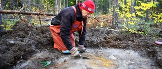 Hittade stenklubba på forntida boplats