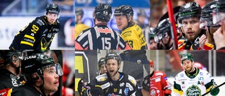 Lista: Så går det för länets spelare i hockeyvärlden