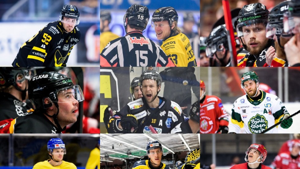 Drygt 50 spelare från Norrbotten huserar i olika hockeyserier. 