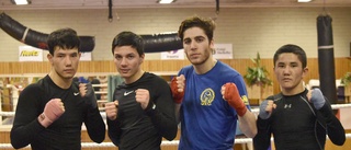 Bengt Forsell är en boxningsledare med ordning och reda