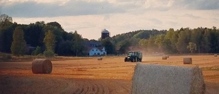 Skördebild vinnare för augusti