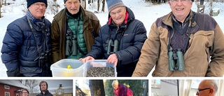 Vilka skadedjur härjar på Lillsidan och vilka fick covid när ESK:s match ställdes in? Testa dig här!