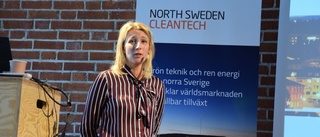 Cleantechföretagen i Västerbotten växer