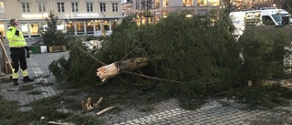 Julgranen knäcktes – föll över torget • Bageripersonal slog larm • Lyktstolpe på sniskan