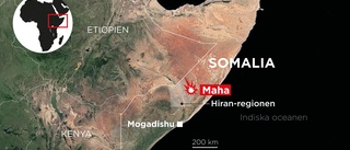 Bilbomber i Somalia – flera döda