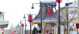 Hockeyträd i Stadsparken