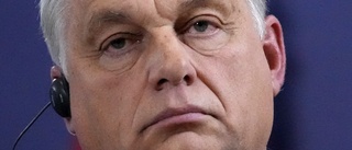 Orbáns halsduk upprör Ukraina