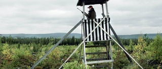 Poliskontroller i älgskogen