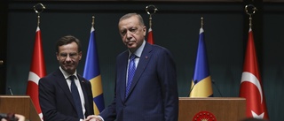 Herr Erdogan är en förolämpning