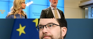 Busch och Persson bör inspireras av Jimmie Åkesson