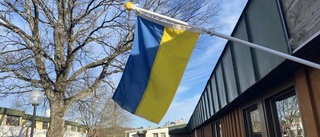 Västervik vill få "vårdnaden" om de 13 avtalslösa ukrainarna