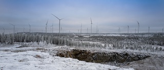 Antalet vindkraftverk har fördubblats de senaste tio åren