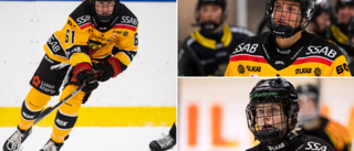 Beskedet: Så är det med Luleå Hockeys skadade spelare