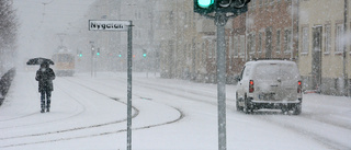 Ny sen snösmocka sinkade våren