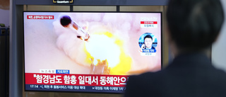 Sydkorea: Nya robotar avfyrade från Nordkorea