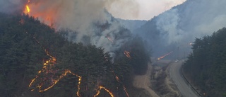 Tusentals flyr skogsbrand i Sydkorea